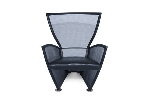 vintage Arflex fauteuil Privé