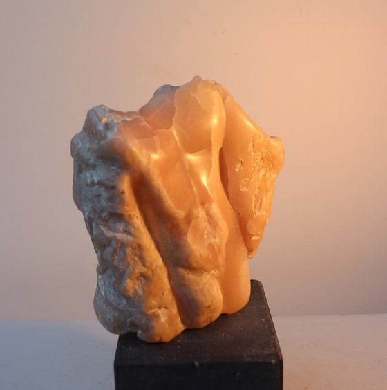 Image 1 of Chantalle Torso