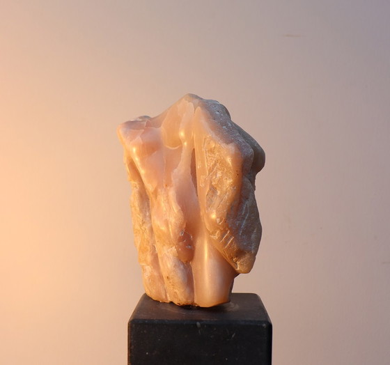 Image 1 of Chantalle Torso