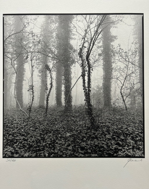 Zeefdruk / Fotografie Ralf Janowski