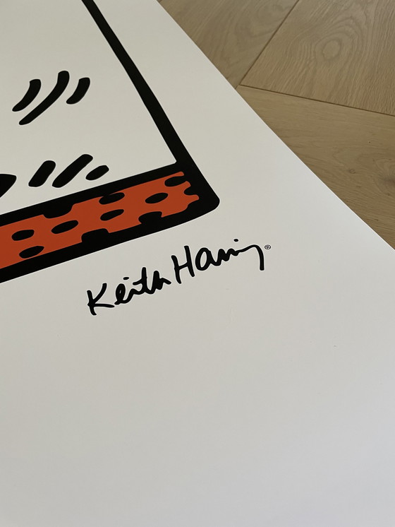 Image 1 of Keith Haring gecompenseerd