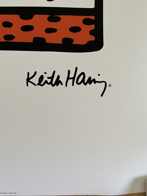 Image 1 of Keith Haring gecompenseerd