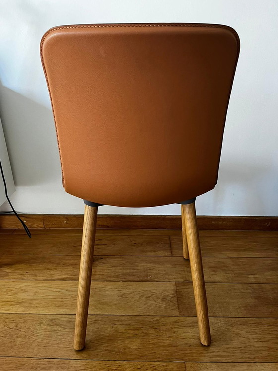 Image 1 of Vitra Hal Wood stoel leder cognac