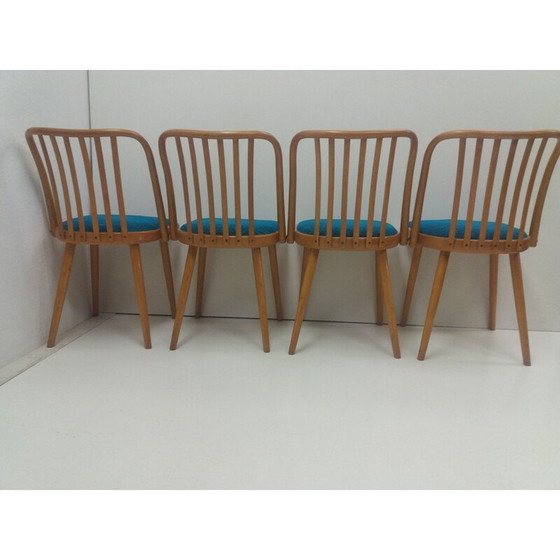 Image 1 of Set van 4 vintage beukenhouten stoelen van Antonín Šuman voor Ton Bystřice pod Hostýnem, Tsjecho-Slowakije 1960