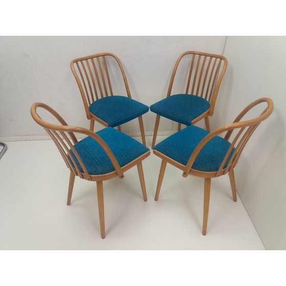 Image 1 of Set van 4 vintage beukenhouten stoelen van Antonín Šuman voor Ton Bystřice pod Hostýnem, Tsjecho-Slowakije 1960