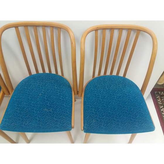 Image 1 of Set van 4 vintage beukenhouten stoelen van Antonín Šuman voor Ton Bystřice pod Hostýnem, Tsjecho-Slowakije 1960