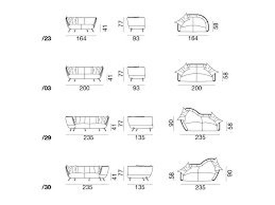 Image 1 of Prachtige Actuele Design Classic De Sede Ds 102/29 Matthias Hoffmann Design Lounge