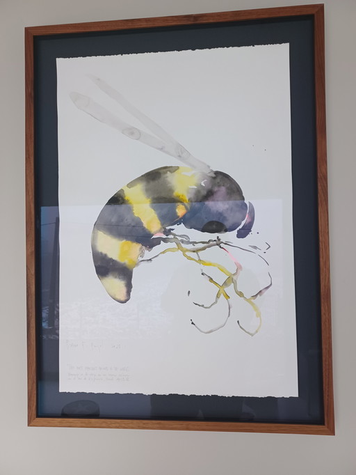 Uniek Aquarel Schilderij - Study For Bee - Pablo Fernandez Pujol