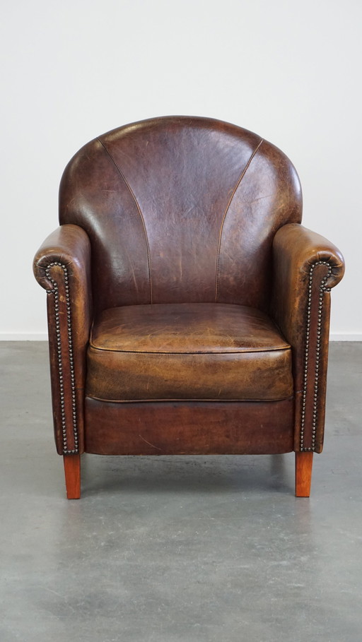 Design Fauteuil Gemaakt Van Schapenleer 