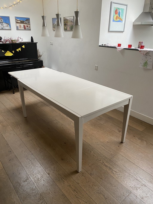 Leolux Tafel Uitschuifbaar Inclusief 2 Extra Bladen