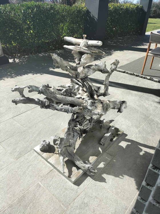 Image 1 of Prachtig drijfhout sculptuur