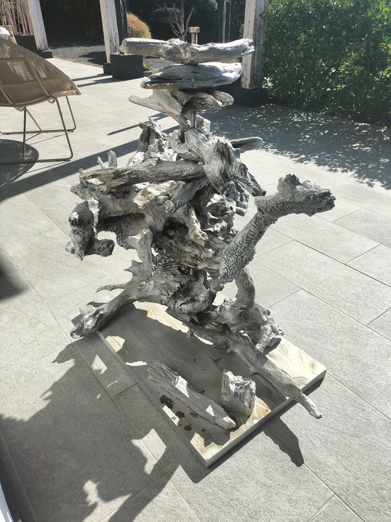 Image 1 of Prachtig drijfhout sculptuur