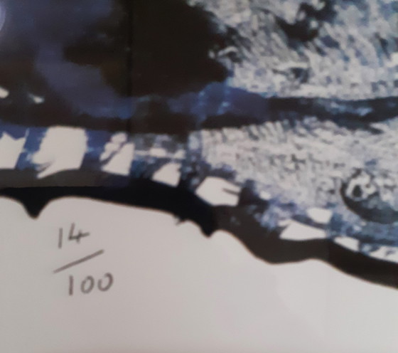 Image 1 of Pierre Alechinsky, Worldly Flying Object