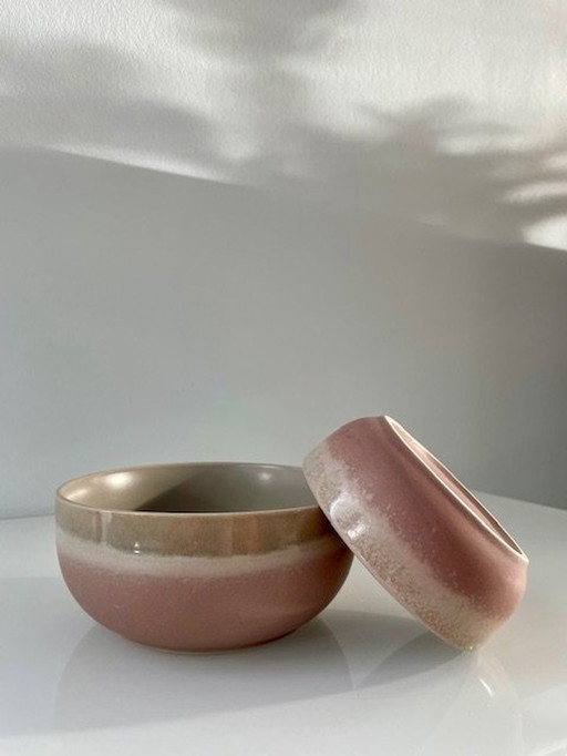 2X Moderne Serveerschalen Taupe/Nude Roze (Ø11Cm En Ø14Cm)