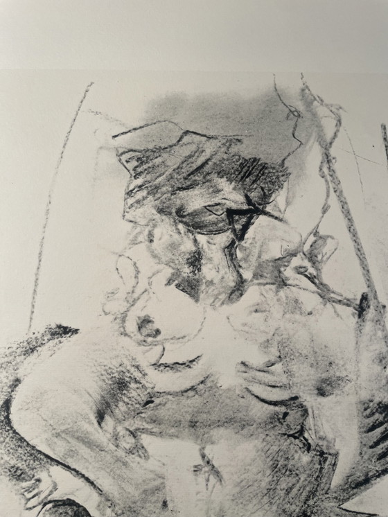 Image 1 of Lithografie Willem De Kooning 