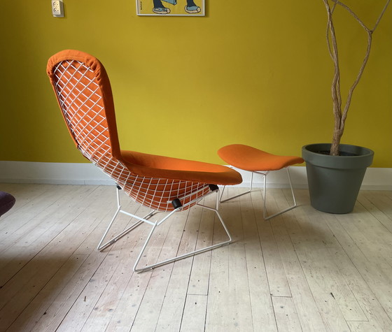 Image 1 of Knoll Harry Bertoia Bird Chair + Ottoman