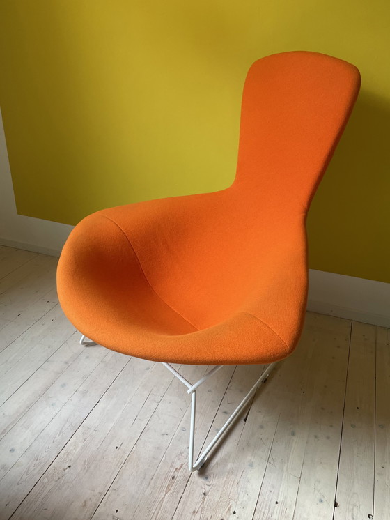 Image 1 of Knoll Harry Bertoia Bird Chair + Ottoman