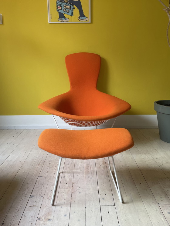 Image 1 of Knoll Harry Bertoia Bird Chair + Ottoman