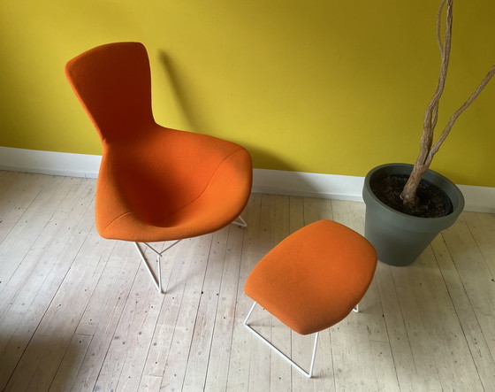 Image 1 of Knoll Harry Bertoia Bird Chair + Ottoman