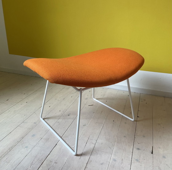 Image 1 of Knoll Harry Bertoia Bird Chair + Ottoman