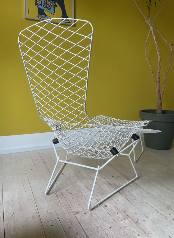 Image 1 of Knoll Harry Bertoia Bird Chair + Ottoman