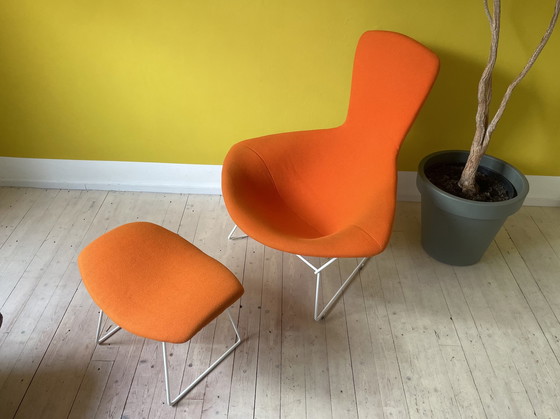 Image 1 of Knoll Harry Bertoia Bird Chair + Ottoman