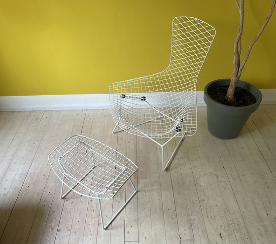 Image 1 of Knoll Harry Bertoia Bird Chair + Ottoman