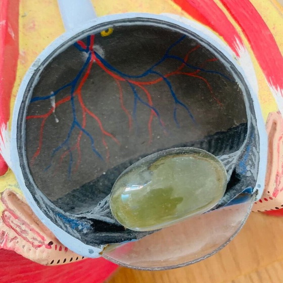 Image 1 of Vintage gevild voor een snee in het oog