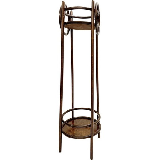 Vintage gebogen houten plantenbak, Oostenrijk 1930