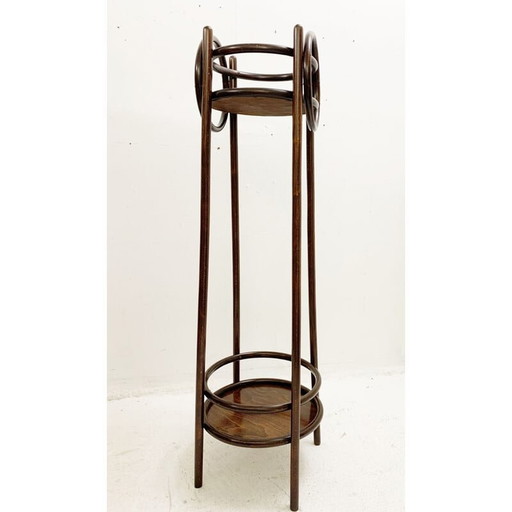 Vintage gebogen houten plantenbak, Oostenrijk 1930