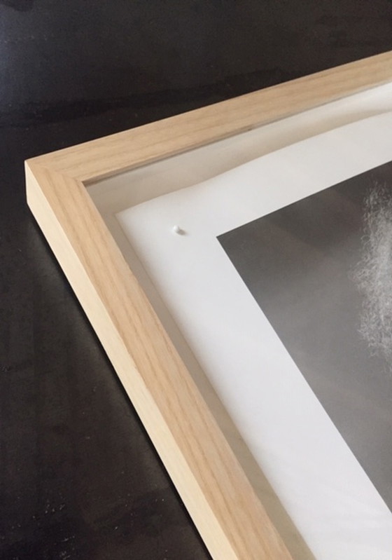 Image 1 of Albert Watson-fotografie