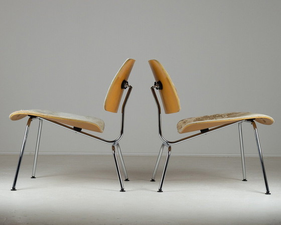 Image 1 of Charles & Ray Eames.Paar Eames Lcm stoelen in kalfshuid voor Vitra