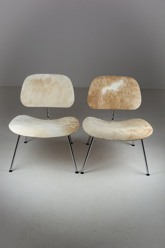 Image 1 of Charles & Ray Eames.Paar Eames Lcm stoelen in kalfshuid voor Vitra