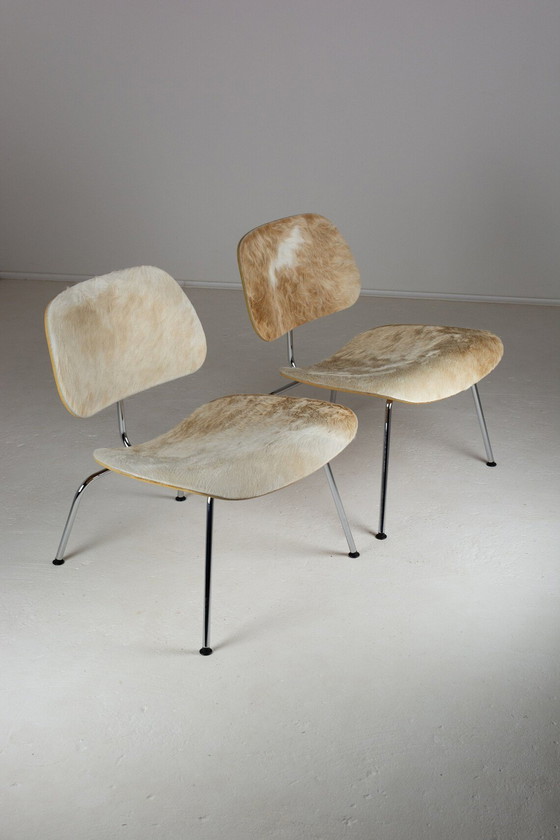 Image 1 of Charles & Ray Eames.Paar Eames Lcm stoelen in kalfshuid voor Vitra