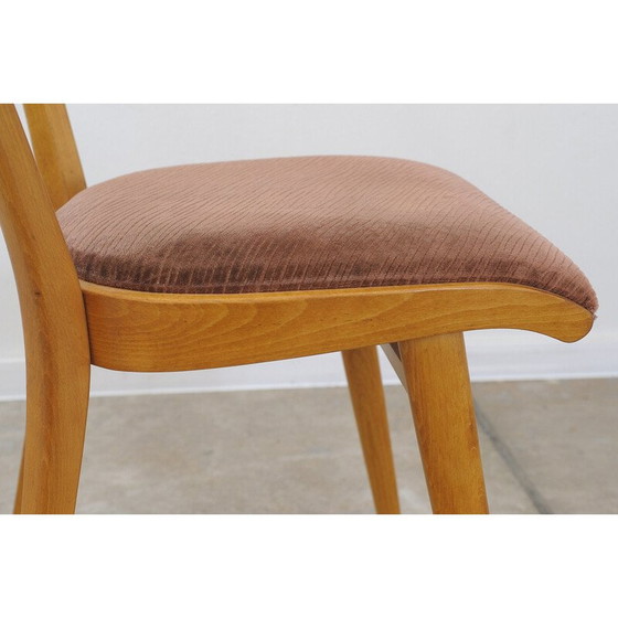 Image 1 of Set van 4 vintage beukenhouten stoelen van Tatra nabytok, Tsjecho-Slowakije 1960