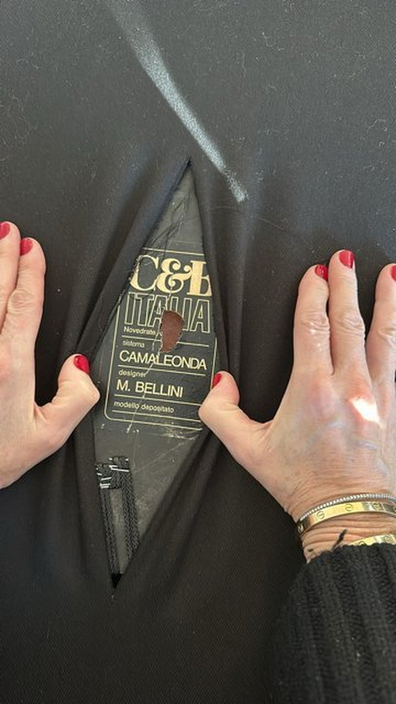 Image 1 of B&B Italia Camaleonda, “Ook afzonderlijk verkrijgbaar.”