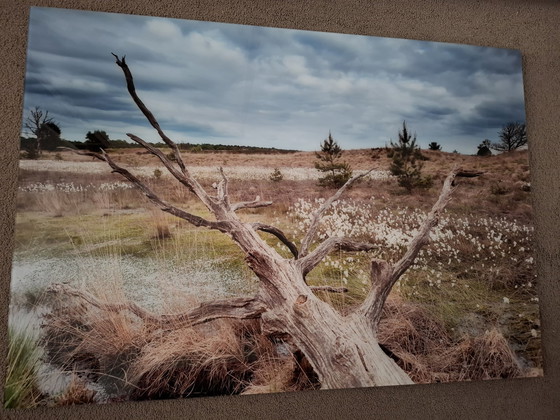 Image 1 of Foto op plexiglas met aluminium