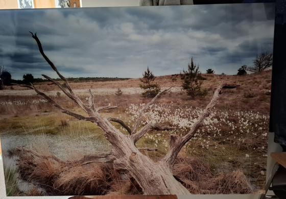 Image 1 of Foto op plexiglas met aluminium