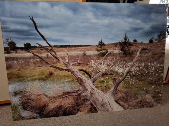 Image 1 of Foto op plexiglas met aluminium