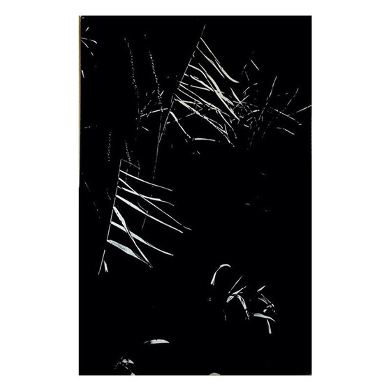 Image 1 of Paar vintage schilderijen De geheime Camargue door L. Clergue