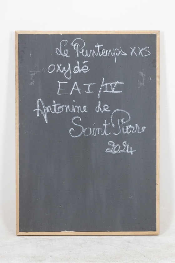 Image 1 of Antonine De Saint Pierre. "Le Printemps XXL". Hedendaags werk.