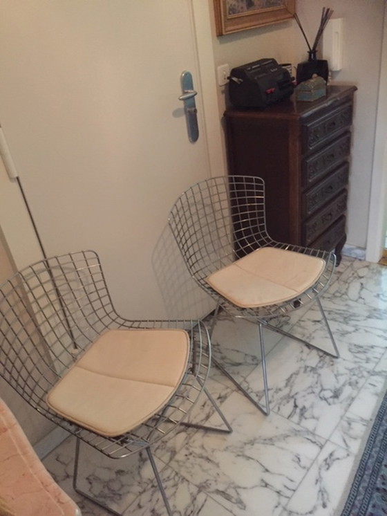 Image 1 of 2x Harrie Bertoia stoelen met kussen