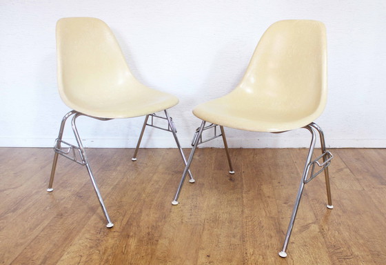 Image 1 of Paar originele Erman Miller stoelen van glasvezel 1960