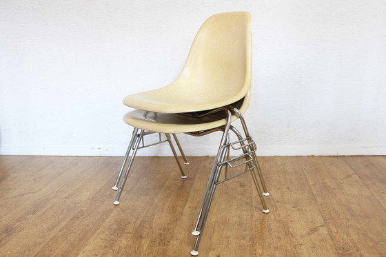 Image 1 of Paar originele Erman Miller stoelen van glasvezel 1960