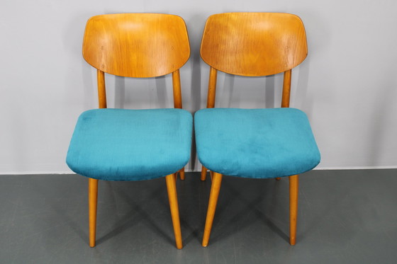 Image 1 of 1970S Set van vier beukenhouten eetkamerstoelen van Ton, Tsjecho-Slowakije