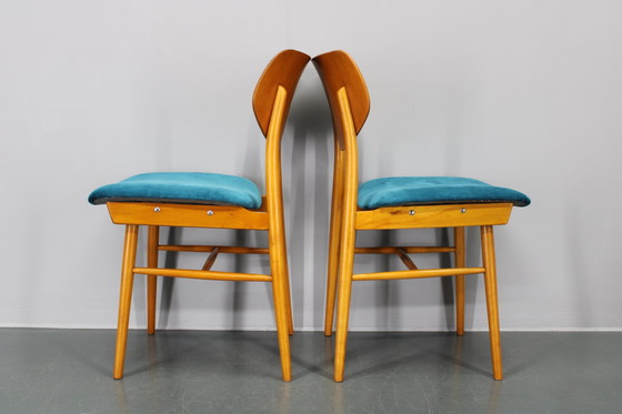 Image 1 of 1970S Set van vier beukenhouten eetkamerstoelen van Ton, Tsjecho-Slowakije