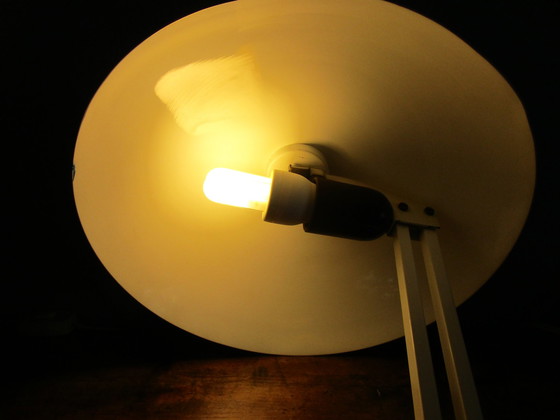 Image 1 of Prachtige Hala Zeist Busquet Lamp