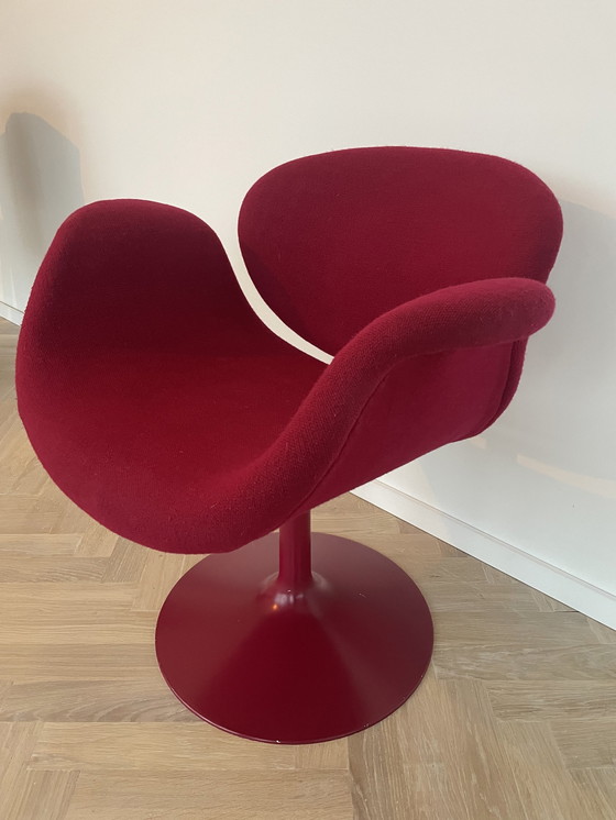 Image 1 of Artifort Tulip Fauteuil