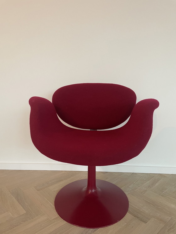 Image 1 of Artifort Tulip Fauteuil