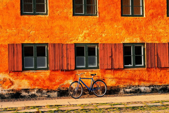 Image 1 of Blue Bike | Copenhagen 2023